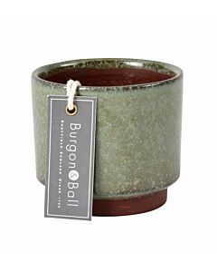 Burgon & Ball Malibu Succulent Pots-Green